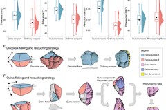 Quina lithic technology indicates diverse Late Pleistocene human dynamics in East Asia featured image