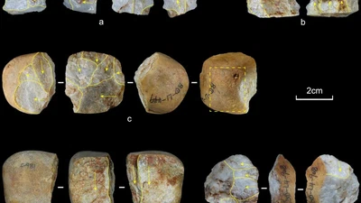 Miniaturized Lithic Technology at the Shanghu Site (Southern China) and its Implications featured image